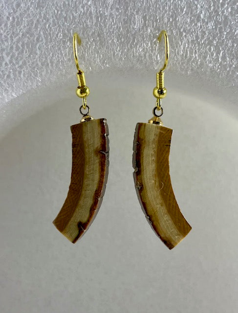 fossilized mammoth bark earrings