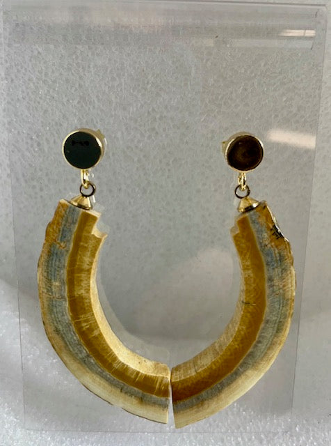 Fossilized mammoth bark Earrings