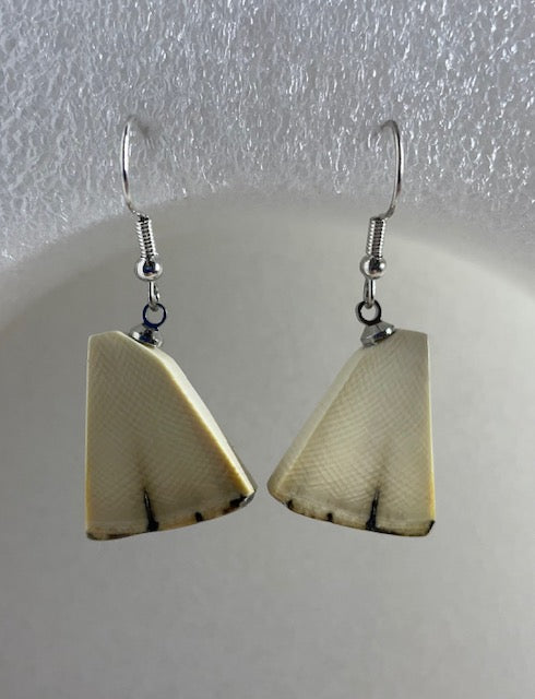 white fossil mammoth quarter earrings