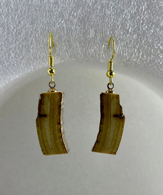 fossilized mammoth bark earrings