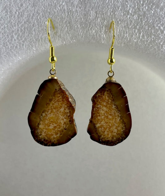fossilized sea horse earrings