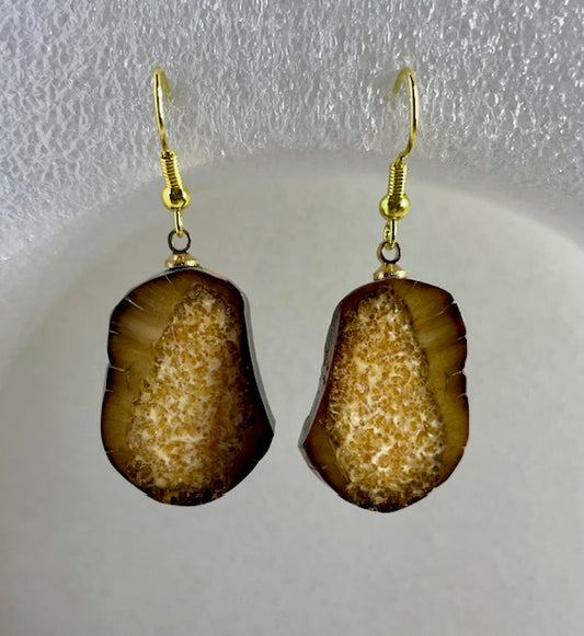 fossilized sea horse earrings