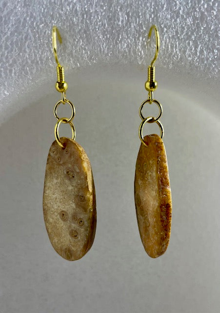 fossilized sea horse core earrings