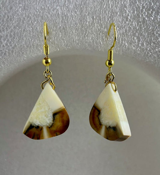 fossilized sea horse quartered Earrings