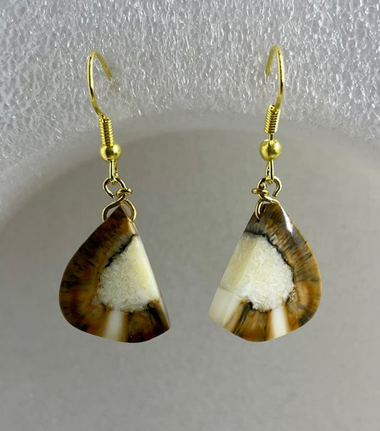 fossilized sea horse half Earrings