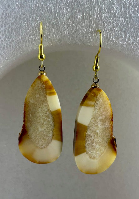 fossil sea horse Earrings