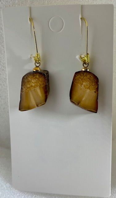fossilized sea horse quartered Earrings