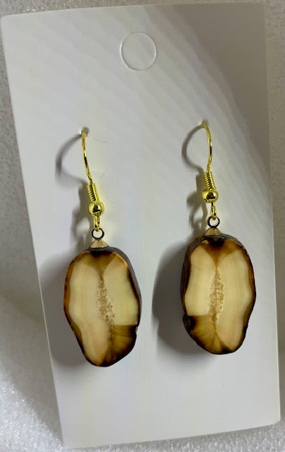 fossil sea horse tip earring