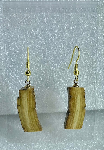 fossil mammoth bark earrings