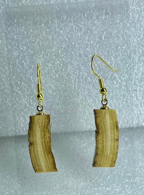 fossil mammoth bark earrings