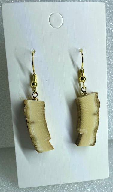 fossil mammoth bark earrings